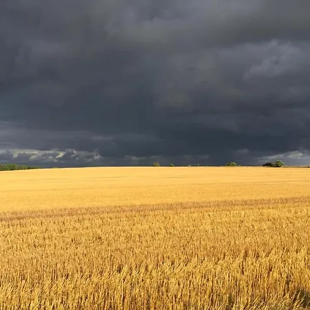 Neu! Arkona Auf Rügen Apartamento *