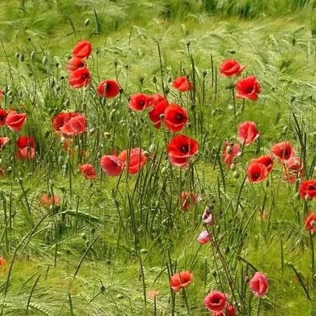 Neu! Arkona Auf Rügen Apartamento Putgarten